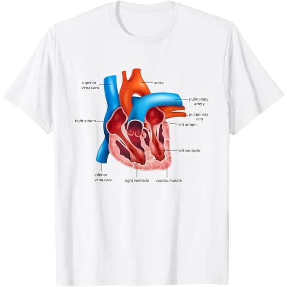 Funny Human Heart Anatomy Anatomical Heart T-ShirtMen and women, White T-shirt, size: Extra large