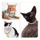 thumbnail image 2 of Collar Cubano Para Mascotas, Cadena Con Forma De Diamante Pa, 2 of 3