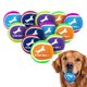 thumbnail image 1 of Pelotas de tenis para perros EXPAWLORER, paquete de 12 unidades, 6,35 cm, Squeaky, 1 of 7