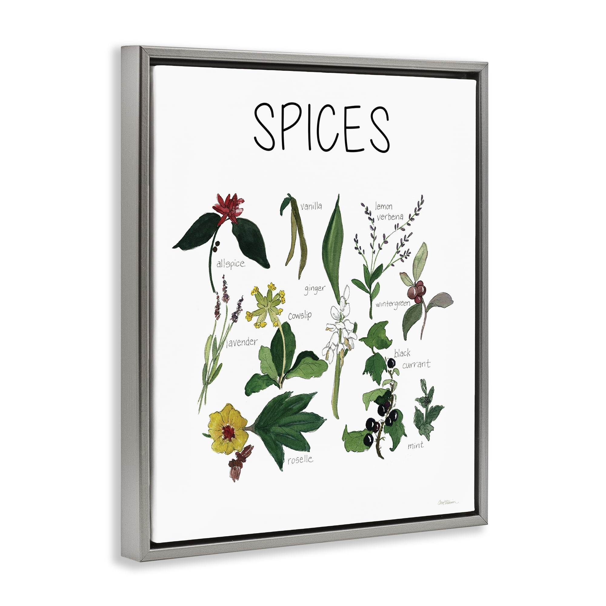 Stupell Industries Spices Identification Chart Gray Framed Floater Canvas Wall Art, design by Carol Robinson