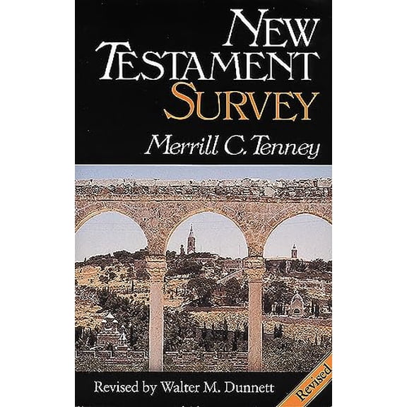 Pre-Owned New Testament Survey Paperback