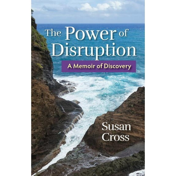 The Power of Disruption (Paperback)
