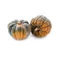 thumbnail image 6 of 20 Seeds BLACK FUTSU SQUASH Multicolored Wrinkly Skin Gold Flesh Japanese Heirloom Pumpkin Ornamental Edible Cucurbita Moschata Vegetable Seeds, 6 of 10