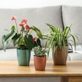 thumbnail image 6 of AYYUFE Flower Pot Good Toughness Self Watering Plastic Anti-wet Large Planter Household Supplies, 6 of 8