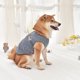 thumbnail image 3 of Chaleco polar de oso Keji Fadou para otoño e invierno, ropa para perros y gatos, 3 of 5