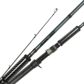 6000 shimano reel Shimano Saragosa SW A Offshore Saltwater Spinning Fishing Reel