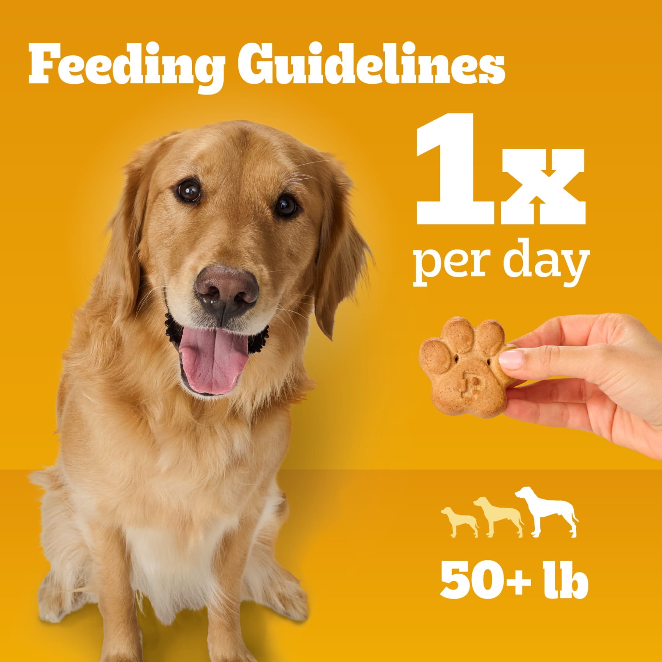 Pedigree Large Tasty Biscuits Dog Treats, Beef & Cheese Flavor, 64-oz Bag