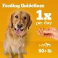 thumbnail image 6 of Pedigree Large Tasty Biscuits Dog Treats, Beef & Cheese Flavor, 64-oz Bag, 6 of 7