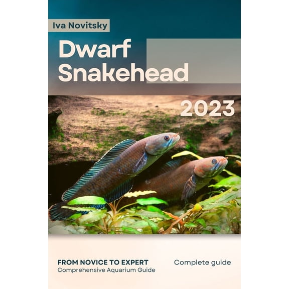 Dwarf Snakehead: From Novice to Expert. Comprehensive Aquarium Fish Guide, (Paperback)