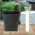 thumbnail image 2 of Square Nursery Pots 3.3 Inches Flexible Plastic Seedling Pots Square Pots for Plants, Succulent, Flower, Pack of 60, with 60 PCS Plant Labels, 2 of 4