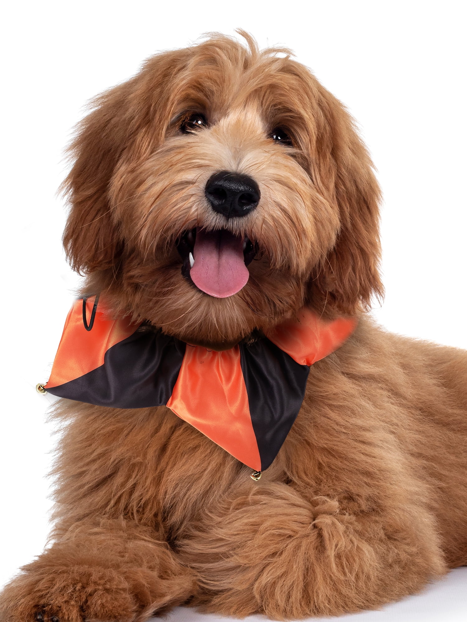 (2 pack) Halloween Pet Jester Collar and Scrunchie Orange, 2 Pieces