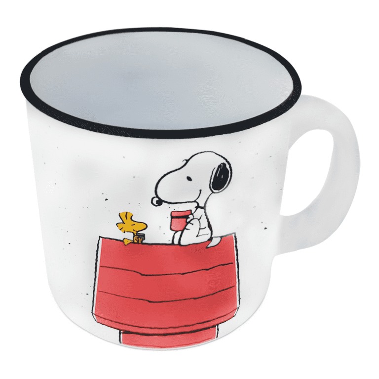 Silver Buffalo Peanuts Snoopy and Woodstock House - Taza de café de  cerámica, 20 onzas
