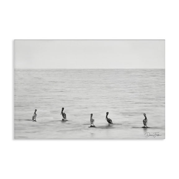 Stupell Industries Pelicans on Shore Landscape Photography Gallery Wrapped Canvas Art Print Wall Art, 24 x 16