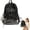 Z-B, variant on YardChic Piano Backpack, Scene Backpack, Cute Core Backpack, Music Backpack, Music Piano Keyboard Backpack with Star Keychain, Zipper Waterproof Cute Bookbag for Home Classroom Essentials, Black