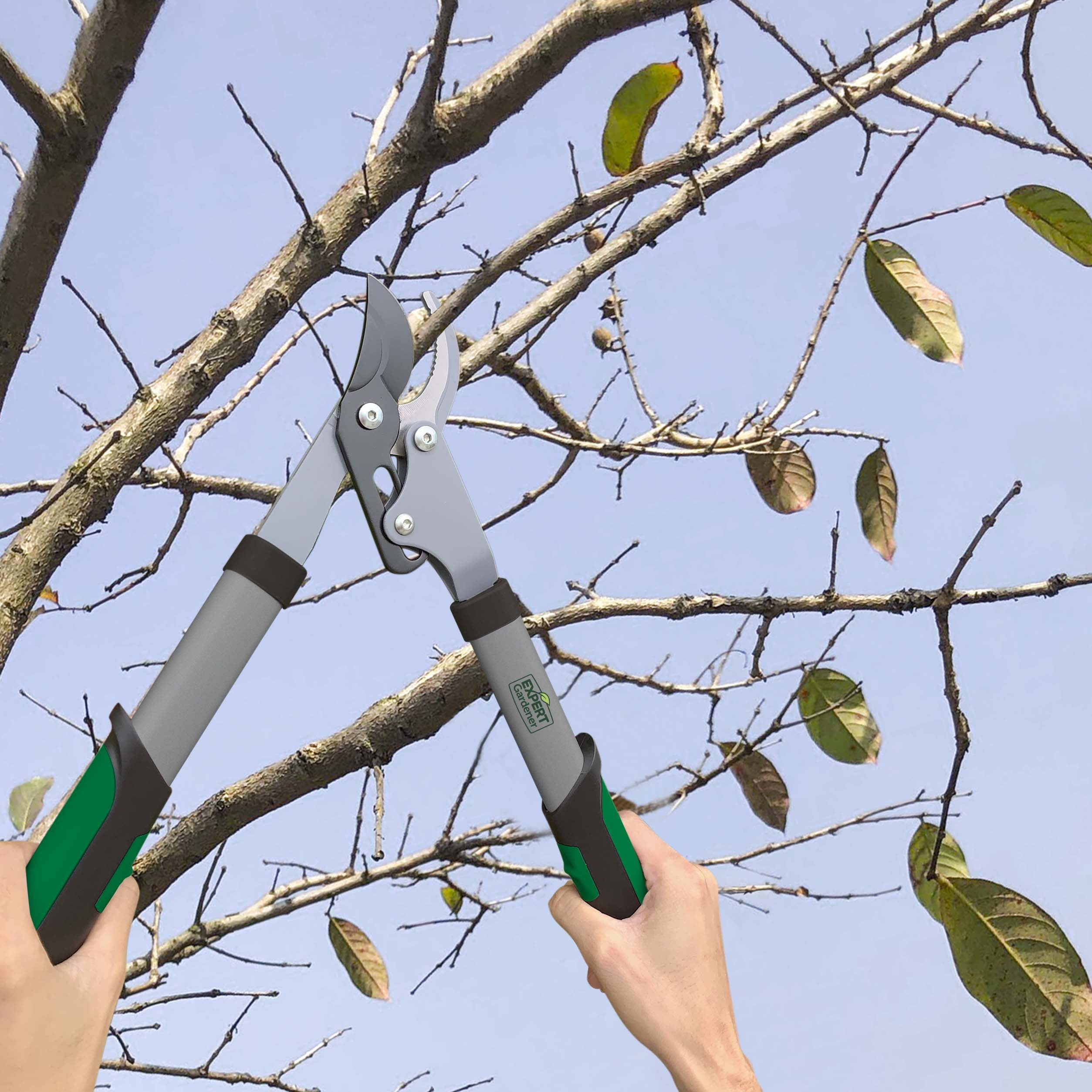 Expert Gardener 15-Inch Lopper, Lightweight and Durable with Ergonomic Grips