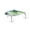 Chartreuse Shad, variant on Fishlab Bio Shad Wake Bait Crankbait 6 Sexy Shad
