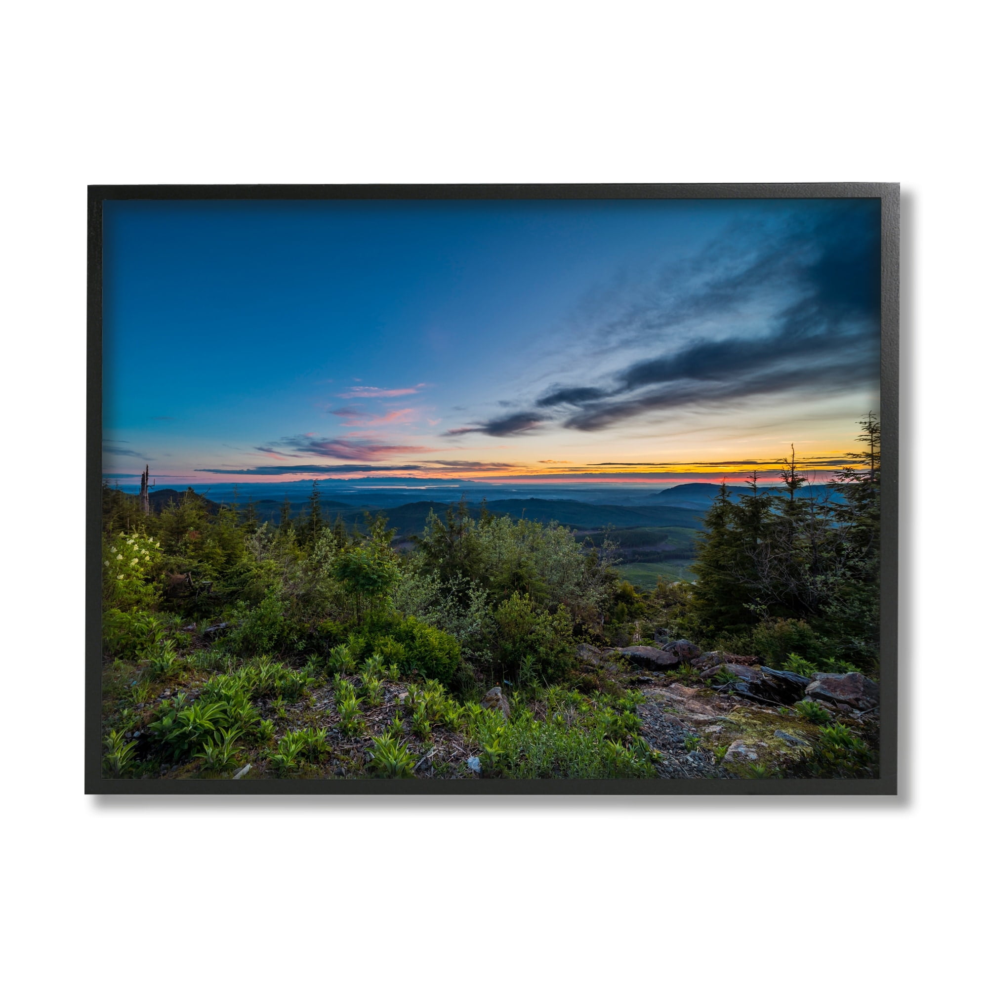 Stupell Industries Dense Brush Sunset Landscape Blue Sky Modern Photography White Framed Art Print Wall Art, 30x24, by Keith Morgan