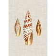 thumbnail image 2 of Vision Studio 11x14 Gold Ornate Wood Framed with Double Matting Museum Art Print Titled - Antique Shells on Linen I, 2 of 4