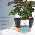 thumbnail image 5 of FIASON 3 Pack 8/9/10 Inch Black Grey Self-Watering Plant Pots, Plastic Planters with Watering Lip, Drainage Holes and Removable Saucer for Indoor Outdoor Plants, 5 of 10