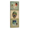 thumbnail image 1 of Cuadro decorativo - Tríptico De Plumas 2-Up I, Jennifer Goldberger 20x60 Canvas Lab Animales, Naturaleza, Animales y naturaleza, 1 of 2