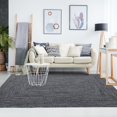 thumbnail image 6 of BNM Indoor/ Outdoor Multihued Rug, 4' x 6', Charcoal- White, 6 of 7