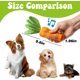 thumbnail image 4 of Squeaky Chew Toys for Dogs, Durable Natural Rubber Carrot Dog Toys, Teeth Cleaning Toy for Medium and Large Puppies (Yellow), 4 of 5