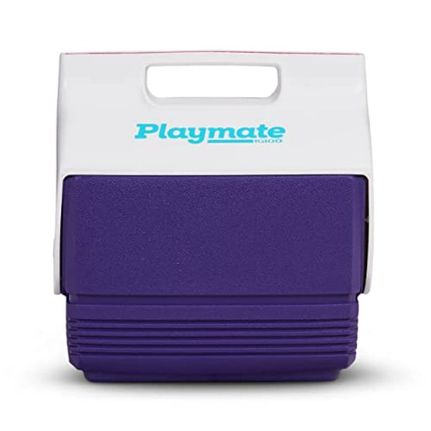 Small igloo best sale cooler walmart
