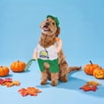 thumbnail image 2 of Vibrant Life Halloween Pickleball Player Costume for Dogs, Multicolor, Medium, 2 of 7