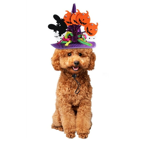 Pet Halloween Hat Cute Pet Pumpkin Gecko Headgear Pet Funny Headgear for Birthday Halloween Christmas