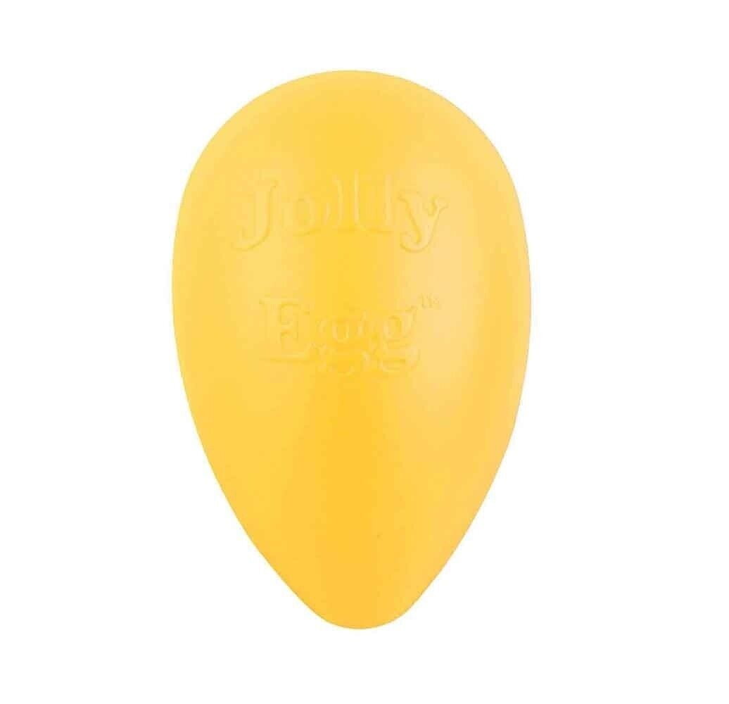 Dog Toy 8 Inch Hard Plastic Egg Shaped Jolly Interactive Fun Choose Color or Set (Red)