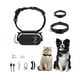 thumbnail image 1 of Catcam Pro, Cat Cam Pro 2.0, HD 1080p Video Camera Mini Collar Camera, 1 of 4
