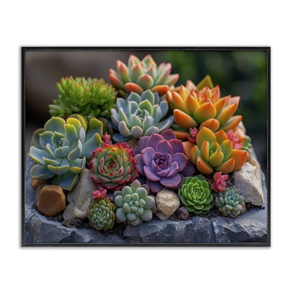 Stupell Industries Contemporary Varied Succulents Photography Black Framed Giclee Art, 14 x 11, by Imagine It Images