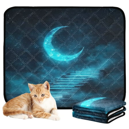 Washable Pet Pee Pads with Super Absorbent Reusable Training Pads for Dogs & Cats Ethereal Moonlit Night Background