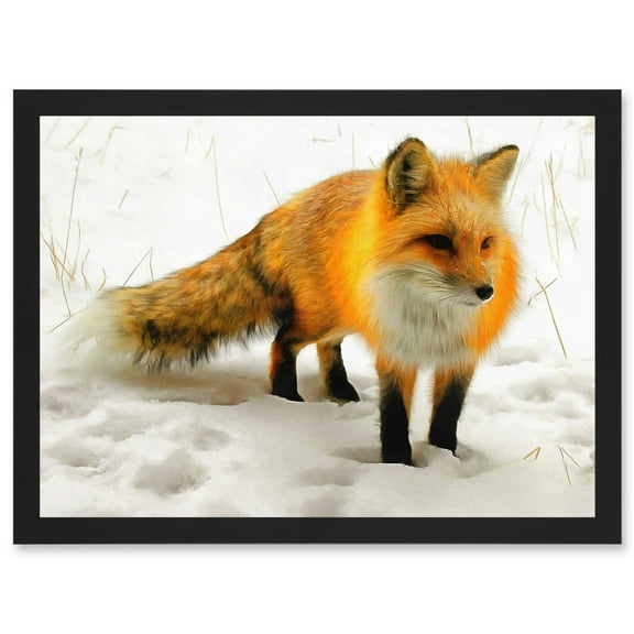 Red Fox In Winter Snow A4 Artwork Framed Wall Art Print