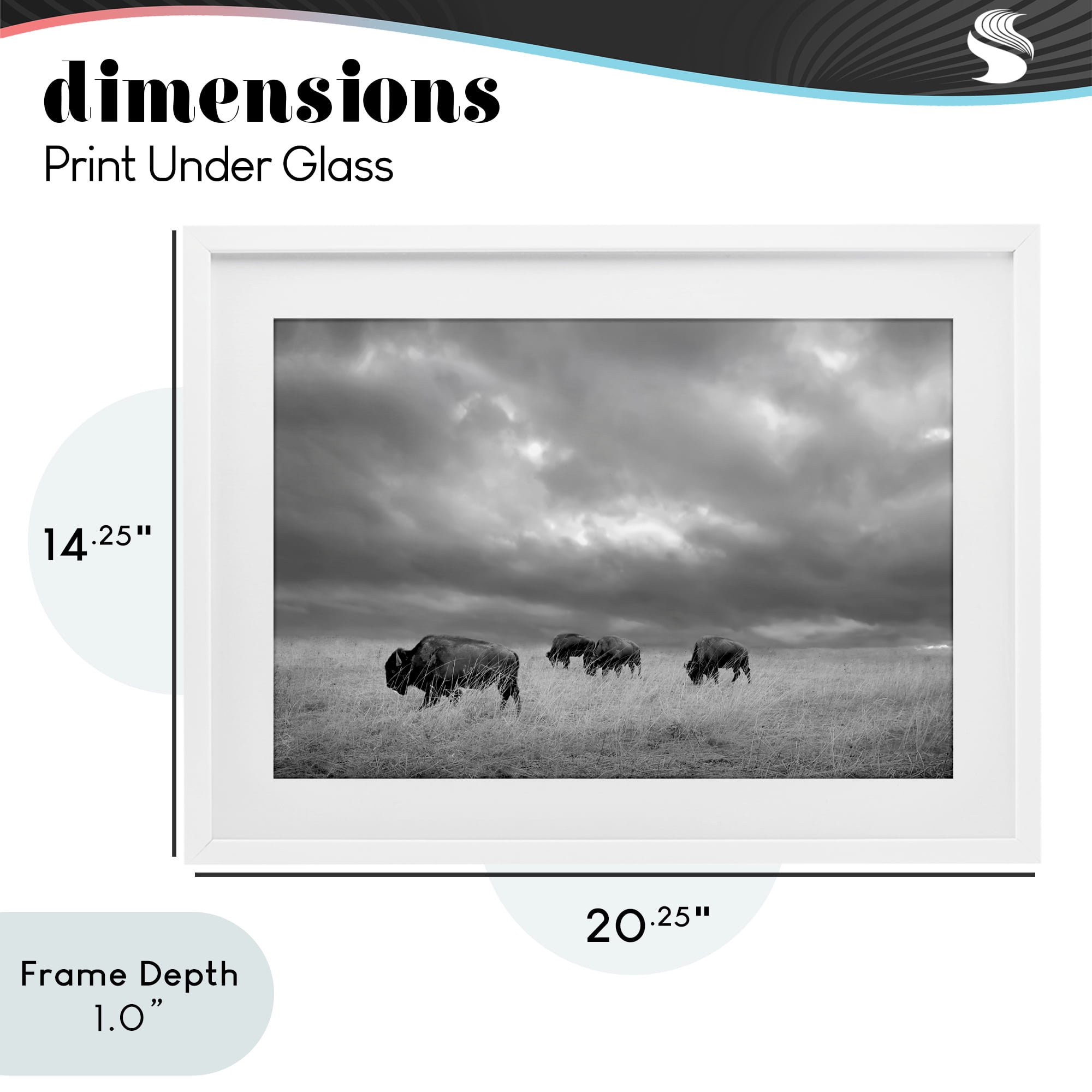 Stupell Industries Bisons Under an Autumn Sky White Framed Print Under Glass, design by Steve Toole