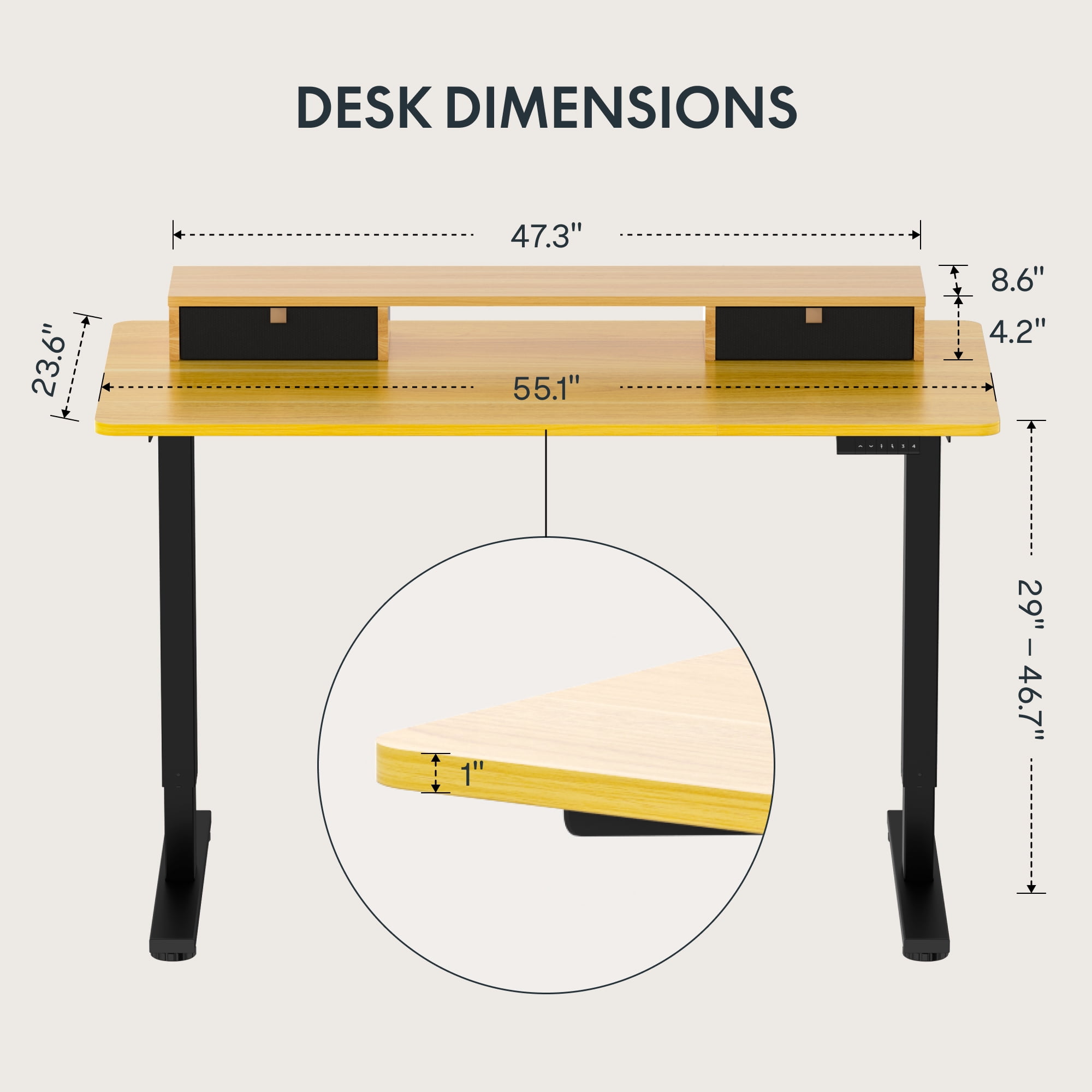 FlexiSpot 55"x24" Electric Standing Desk with One-Piece Desktop, 2 Removable Drawers, Headphone Hook, 4 Height Memory Presets, 250lbs Capacity Ergonomic Sit Stand Desk with Monitor Stand