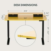 FlexiSpot 55x24 Electric Standing Desk with One-Piece Desktop, 2 Removable Drawers, Headphone Hook, 4 Height Memory Presets, 250lbs Capacity Ergonomic Sit Stand Desk with Monitor Stand