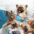 thumbnail image 3 of Naloa Sea Swimming Corgi Dog Blanket, 3 Sizes Cat Blanket for Indoor Cats Large Medium Small Dog Gifts-Large, 3 of 8