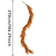thumbnail image 3 of Relleno de jarrón de ratán naranja - Plantas artificiales de plástico con agujas para decoración de otoño, 3 tamaños (180 cm, 260 cm, 360 cm) - Decoración para Halloween, Acción de Gracias y hogar, 3 of 6