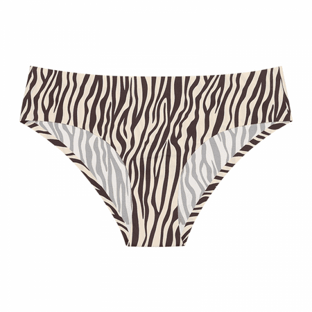 

Wish Women’s Seamless Underwear No Show Panties Soft Stretch Hipster Bikini Underwears 3-Pack Zebra Leopard M S833