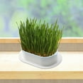 thumbnail image 1 of pitrice Seed Sprouter Tray for Seedling Planting Soil Free Hydroponic Cats Grass Box Blue, 1 of 3