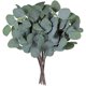thumbnail image 1 of Tallos de hojas de eucalipto ZHAOCHENG 10 piezas de eucalipto artificial verde gris, 1 of 5