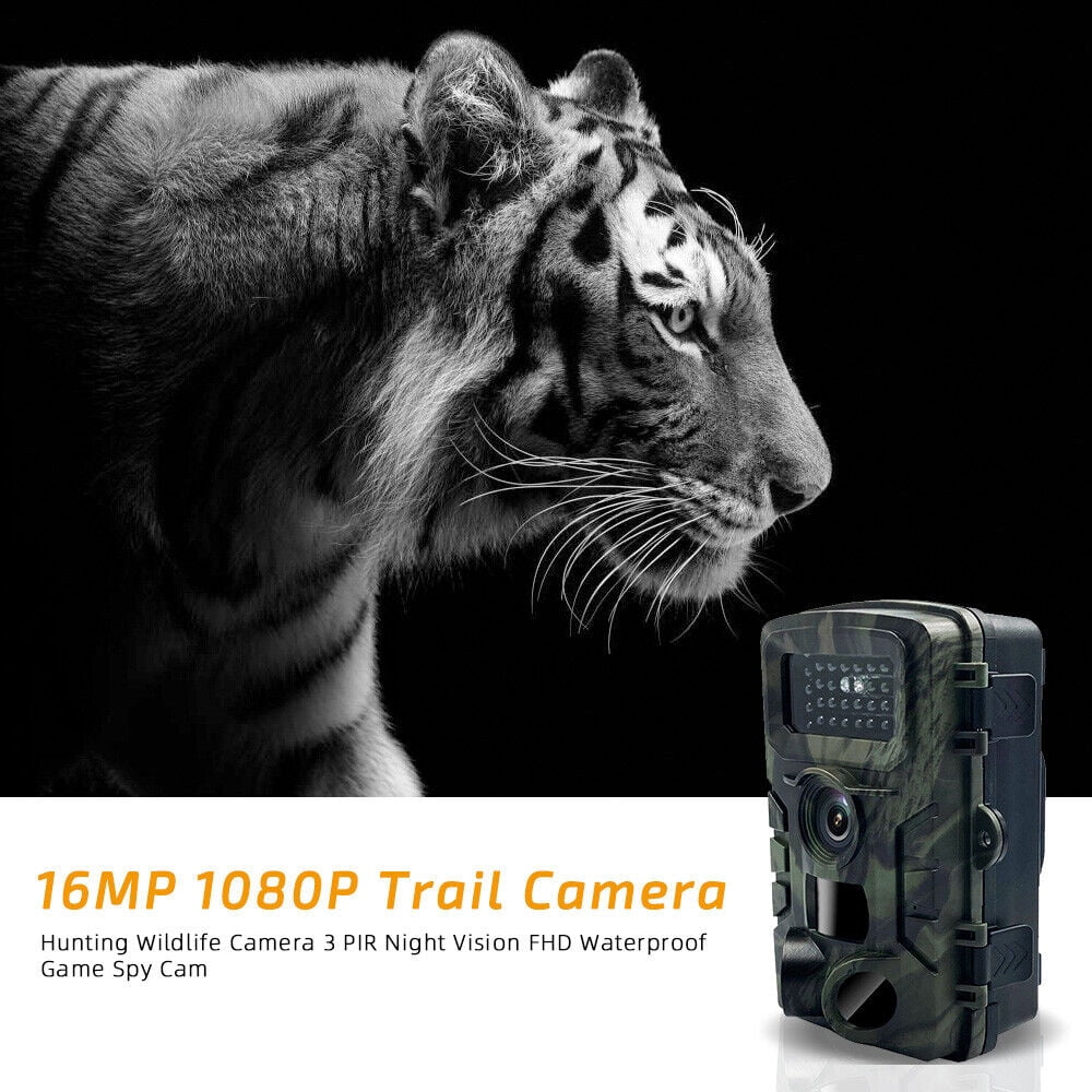 Mini Trail Camera 1080P HD Wildlife Scouting Hunting Game Camera with IR Night Vision Waterproof Video Camera