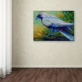 thumbnail image 3 of Trademark Fine Art 'Raven 2' Canvas Art by Marion Rose, 3 of 3