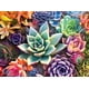 thumbnail image 2 of Buffalo Games - Simple Succulent - Rompecabezas de 1000 piezas Buffalo Games Buffalo Games, 2 of 2