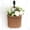 01#Brown, variant on Bxaolu Wicker Hanging Basket for Organizing, Front Door, Mail, Flowers - Woven Wall Baskets for Storage, 8.25"x8.25"x4.7", (1Pack)