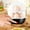 Black, variant on Djiypn Rapid Egg Cooker, Mini Egg Cooker, Easy Egg Cooker Electric 12-Egg Capacity, Soft, Medium, 2-Tier Hard-Boiled Egg Cooker with Auto Shut-Off, Black