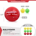 thumbnail image 2 of PowerNet Sweet Spot Training Bat + 3.2" Progressive Softball Training Balls for Hitting & Pitching, LITE 9 Pack Weighted Balls & 34" Weighted Bat (31 oz), Improve Hand-Eye Coordination & Power, 2 of 6