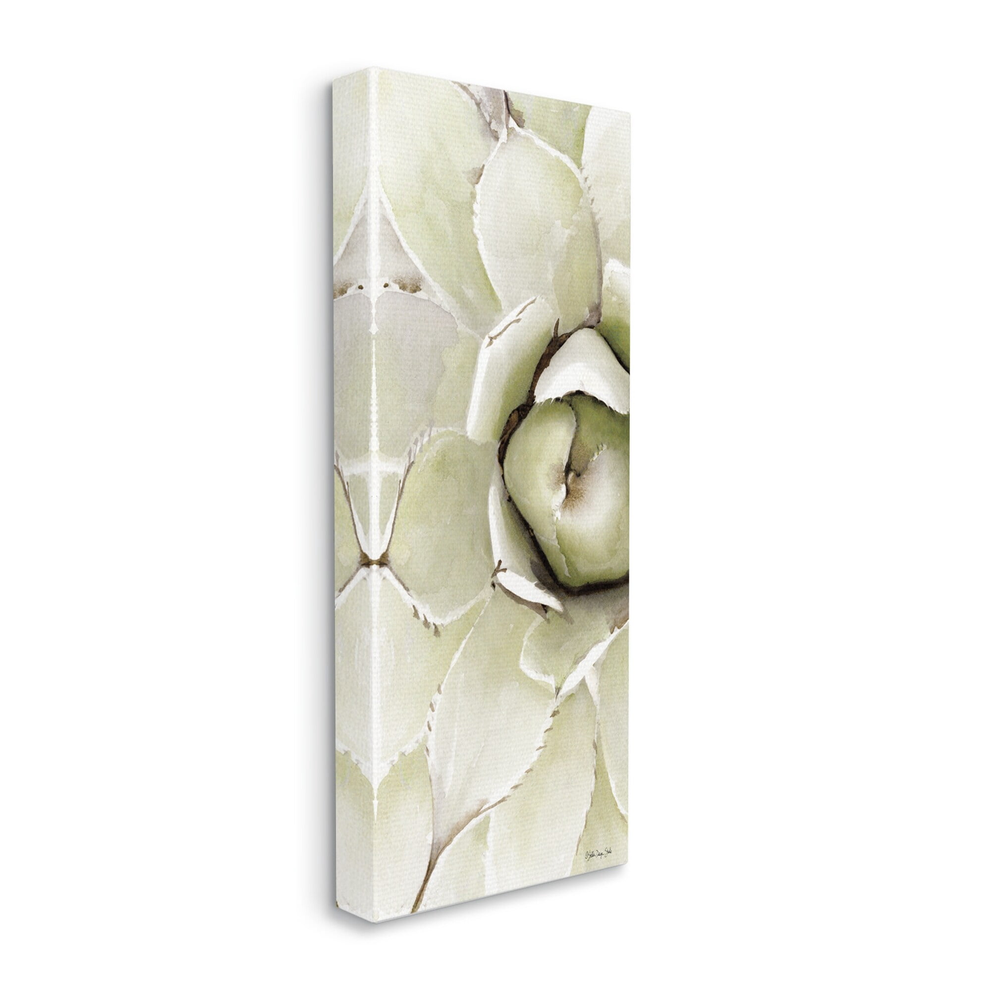 Stupell Industries Succulent Bulb Blossom Green Plant Modern Watercolor Painting, 13 x 30,Design by Stellar Design Studio