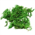 thumbnail image 5 of Dried Mountain Moss For Soil Topping (1 Quart), Mossy Plant Base soil Additive and Craft Accessory, 5 of 5